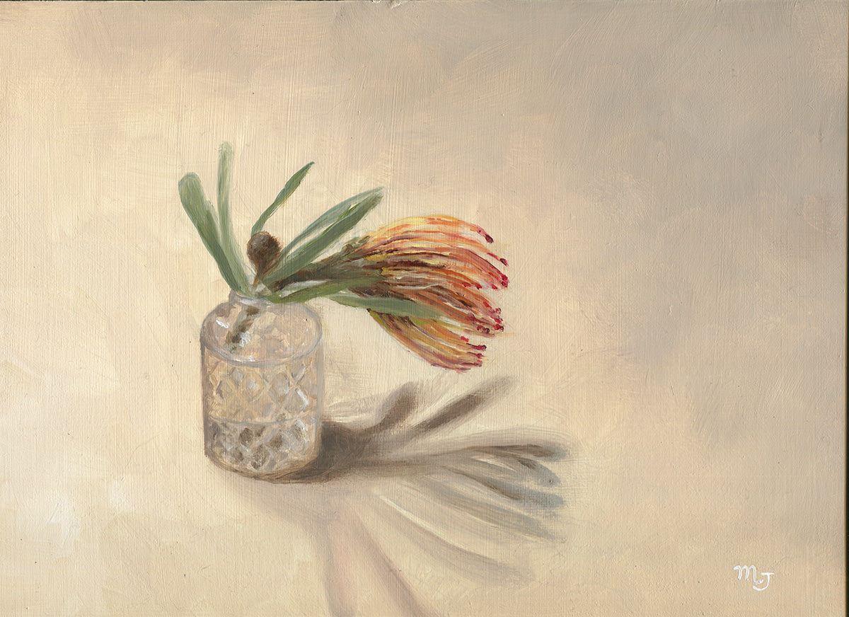 Pincushion Protea at Nellas