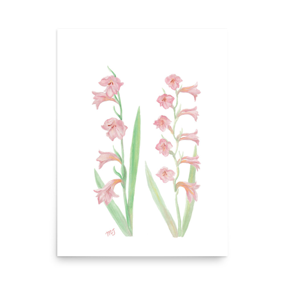 Gladiolus Art Print