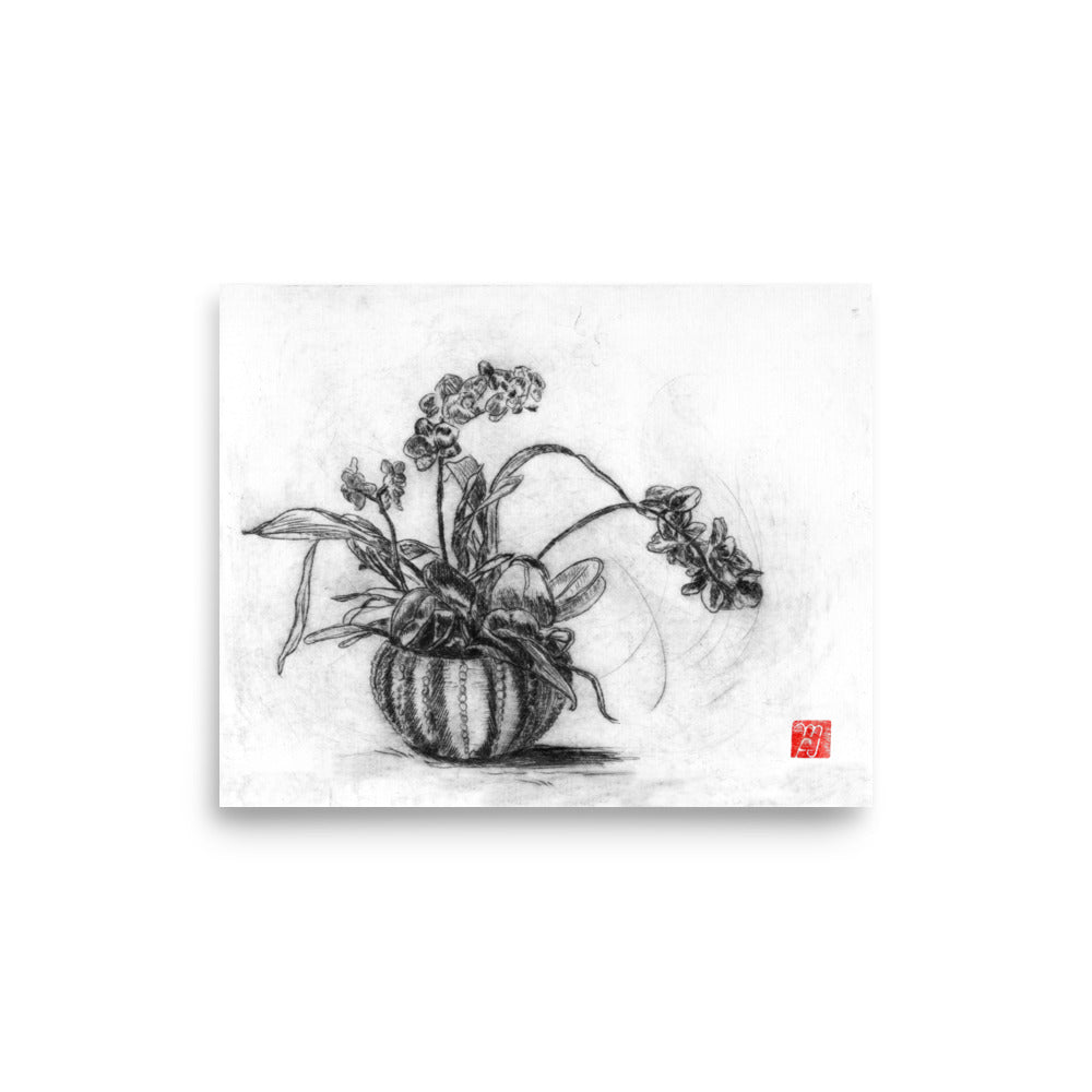 Planted Orchid etching Art Print